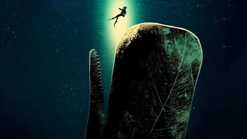 Whalefall poster