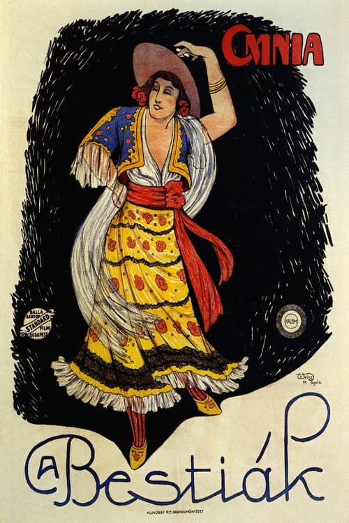 The Polish Dancer poster