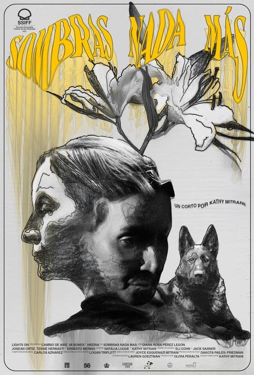 Nothing but Shadows poster