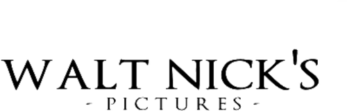 Walt Nick's Pictures