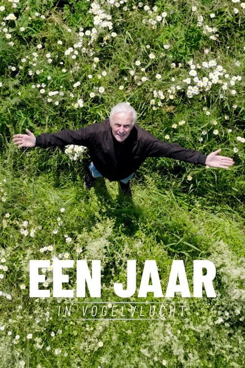 Een jaar in vogelvlucht