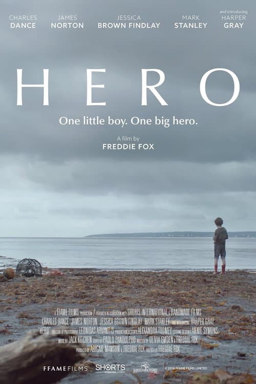 Hero poster