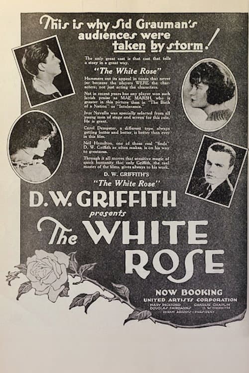 The White Rose poster