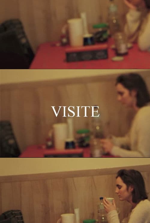 VISIT poster