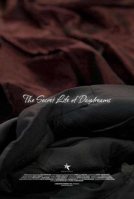 The Secret Life of Daydreams poster