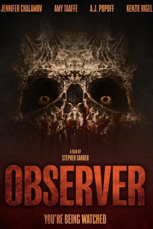 Observer poster