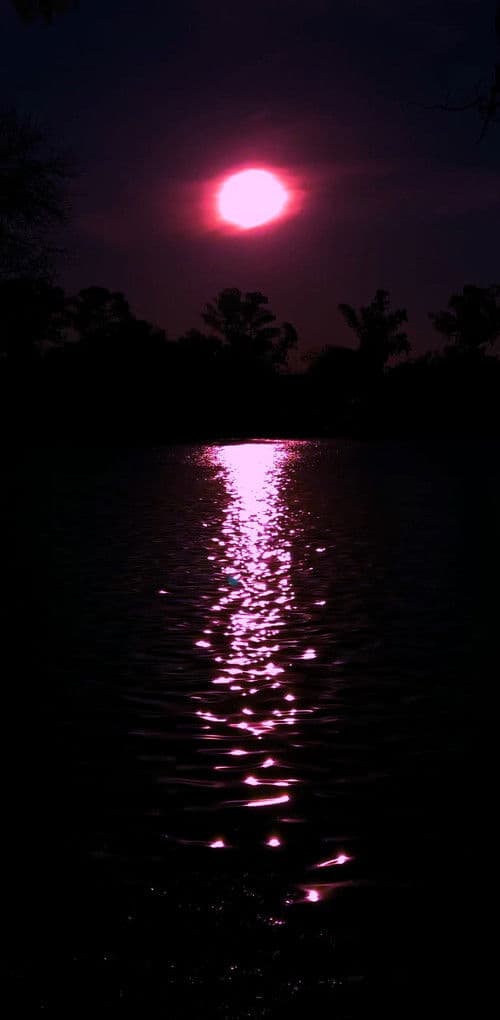 Uma Carta Alienígena poster