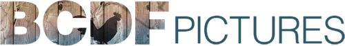 BCDF Pictures
