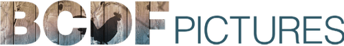 BCDF Pictures