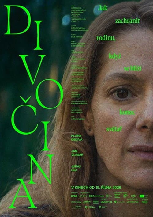 Divočina poster