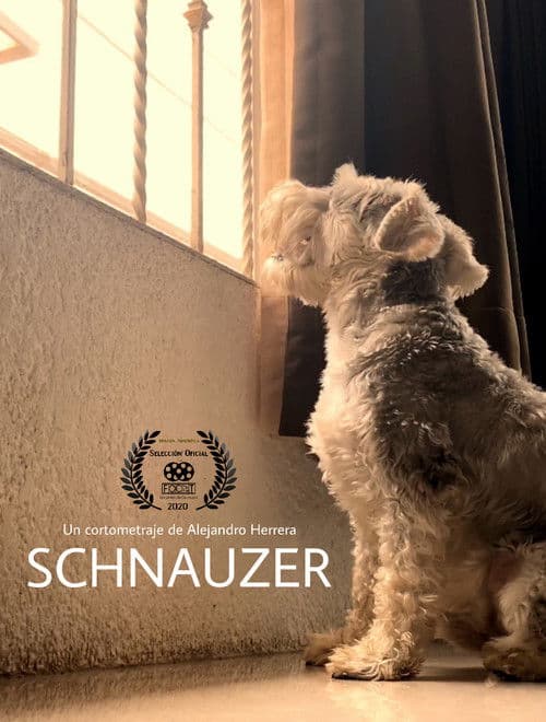 Schnauzer poster