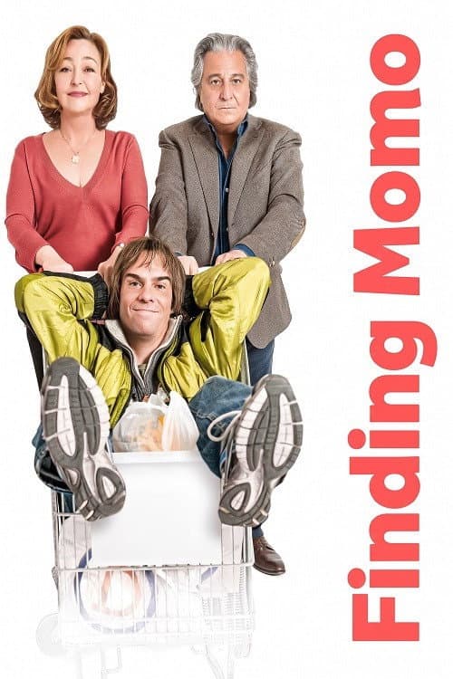 Finding Momo poster