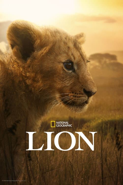 Lion poster