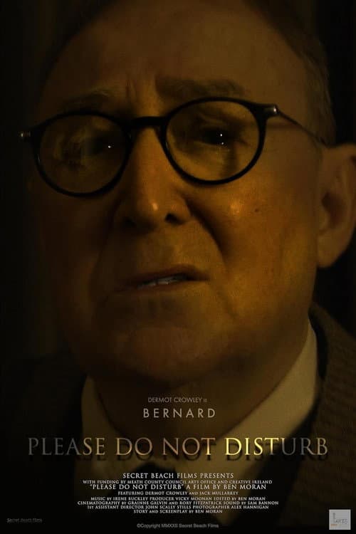 Please Do Not Disturb poster