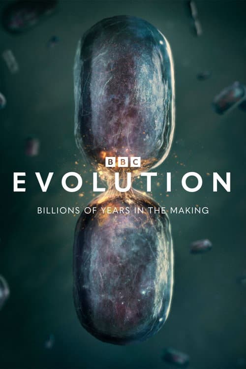 Evolution poster
