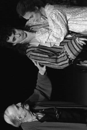 Men and Bergman poster