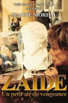 Zaïde, un petit air de vengeance poster
