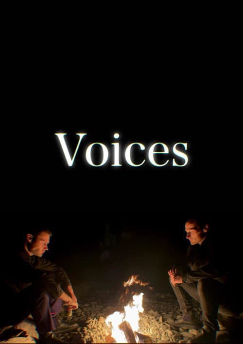 Voices poster