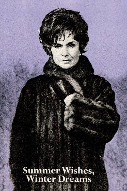 Summer Wishes, Winter Dreams poster