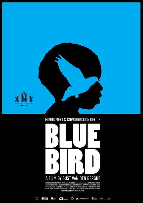 Blue Bird poster