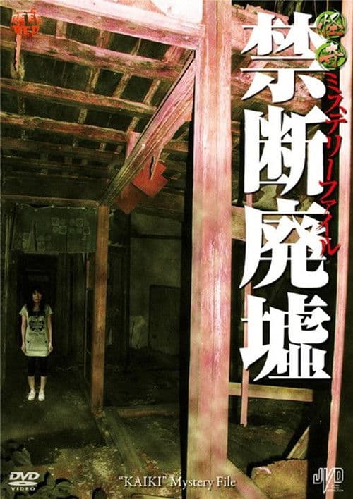 Bizarre Mystery File: Forbidden Ruins poster