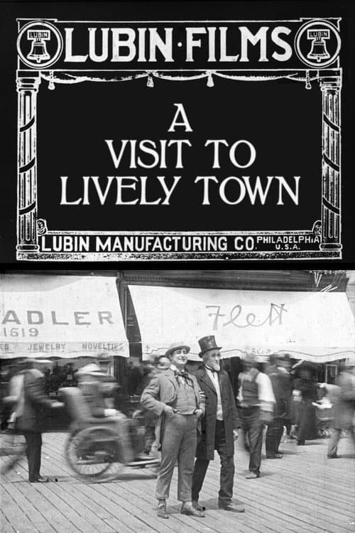 A Visit to Lively Town poster