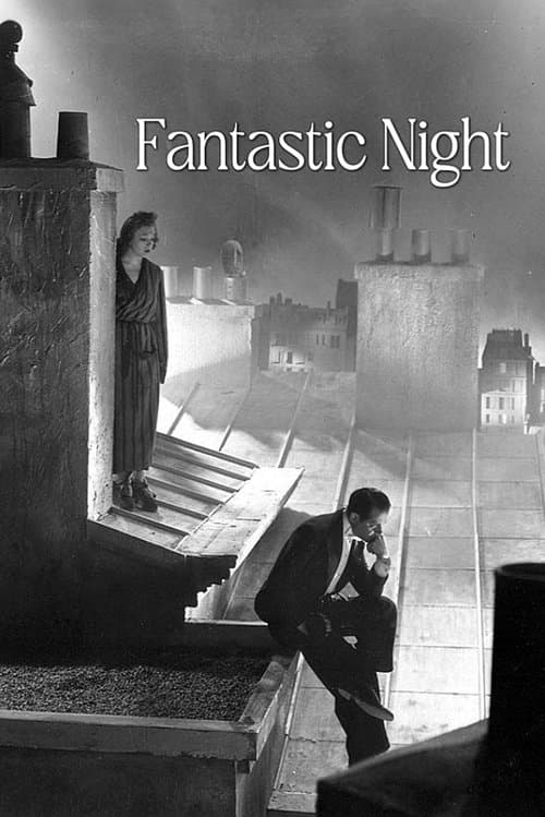 Fantastic Night poster