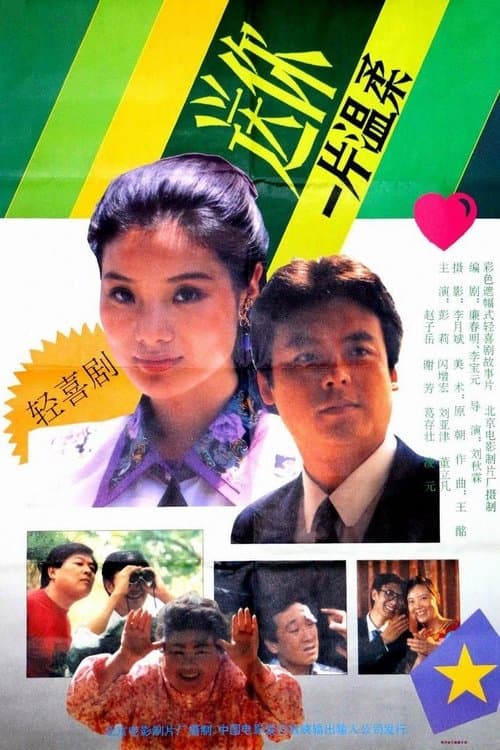 送你一片温柔 poster