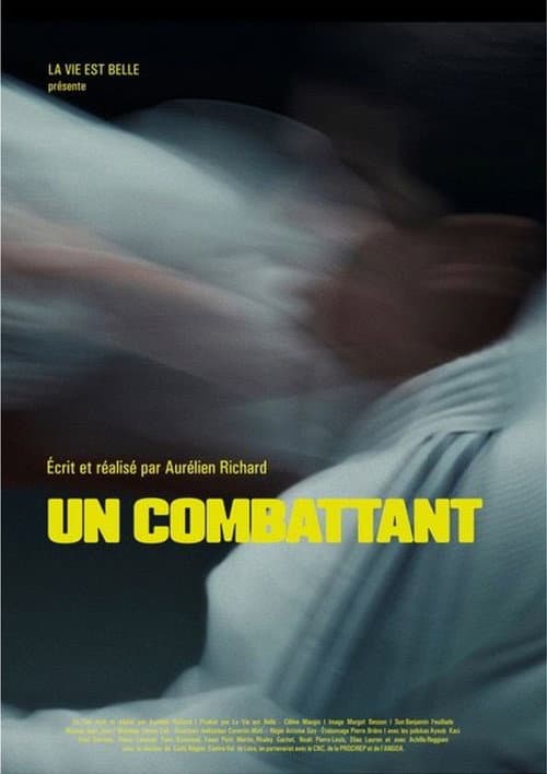 A fighter poster