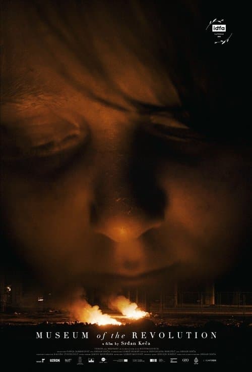 Museum of the Revolution poster