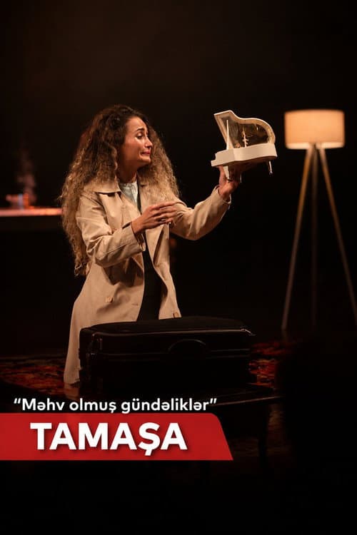 Məhv olmuş gündəliklər poster