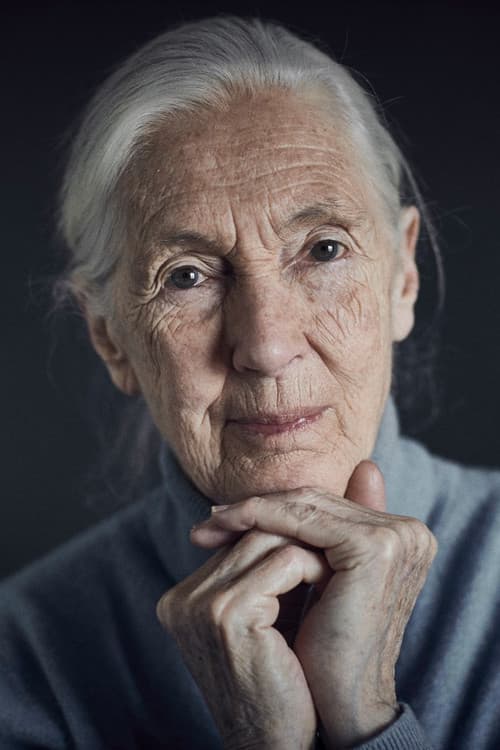 Jane Goodall profile photo