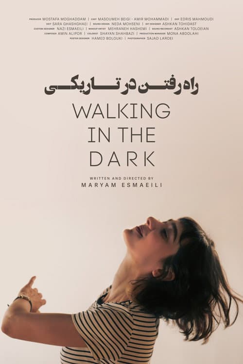 Walking in the Dark poster