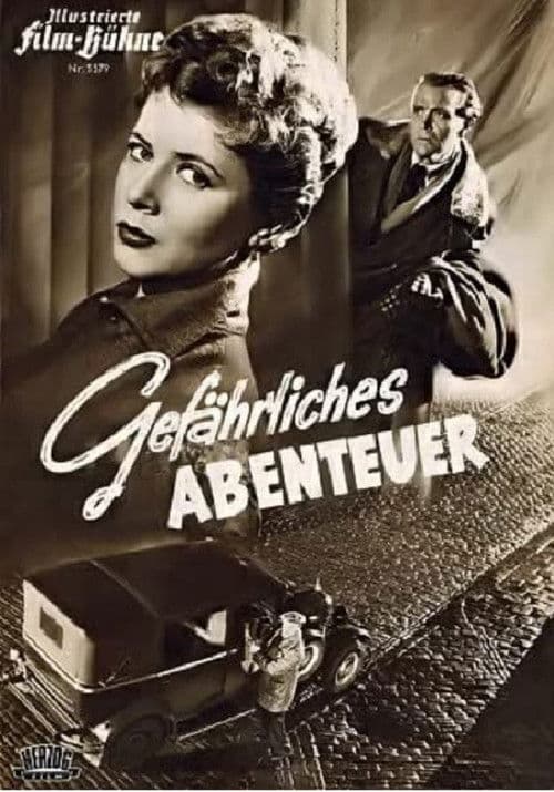 Adventures in Vienna poster