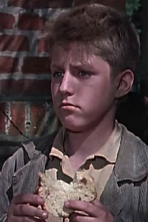 Gerald Schraml profile photo