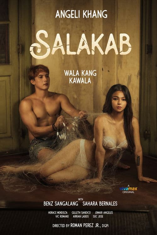 Salakab poster