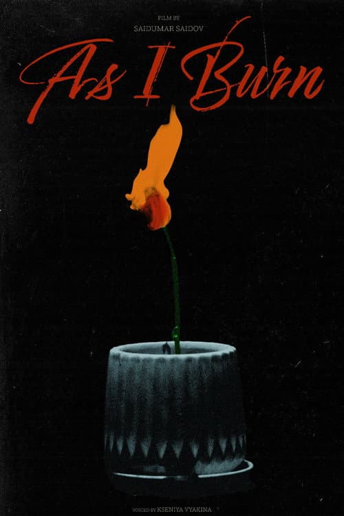 As I Burn poster