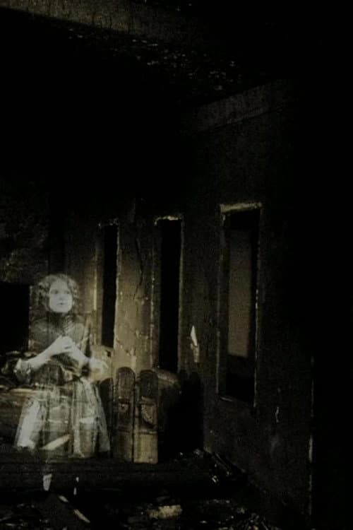 Palimpsest poster