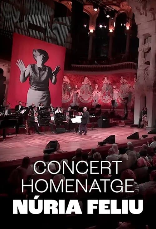Núria Feliu al Palau poster