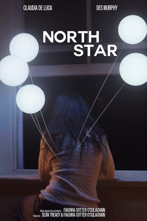 North Star poster
