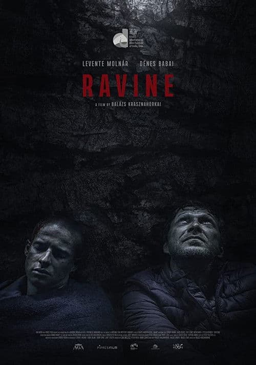 Ravine poster