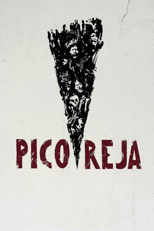 Pico Reja: The Truth Buried Beneath poster