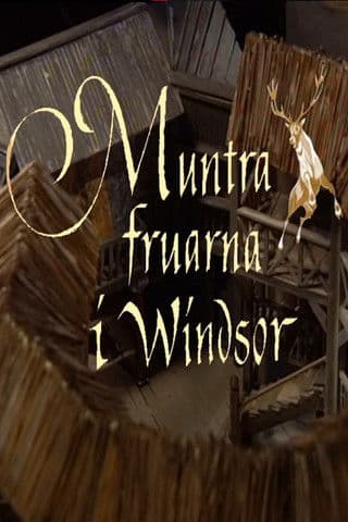 Muntra fruarna i Windsor poster