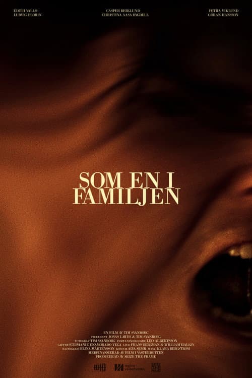 Som en i familjen poster