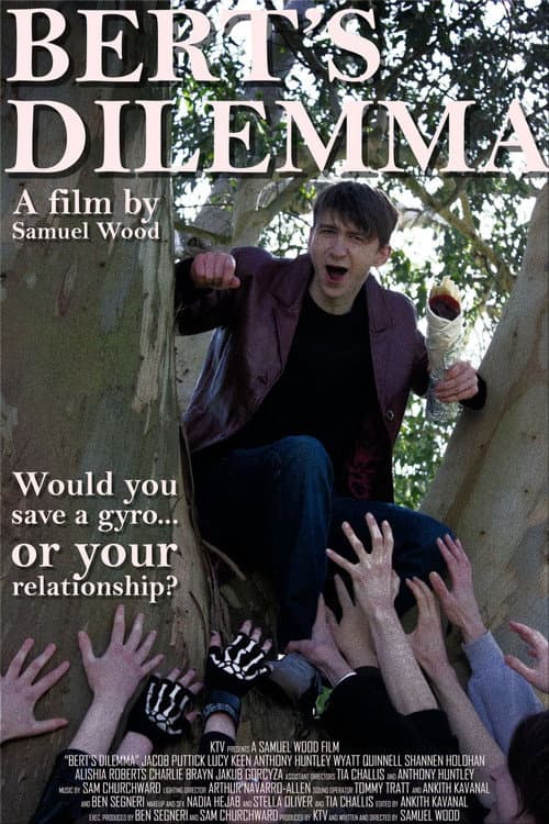 Bert's Dilemma poster