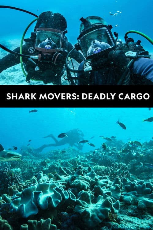 Shark Movers: Deadly Cargo poster