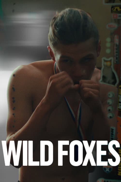 Wild Foxes poster