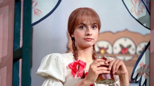 O chudém královstvíčku poster