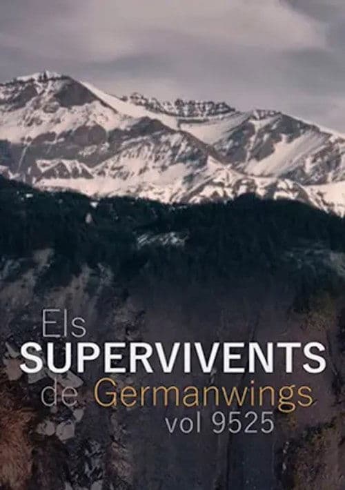 Els supervivents del vol 9525 de Germanwings poster