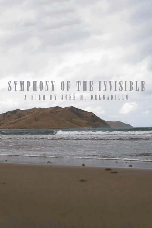 Symphony Of The Invisible poster